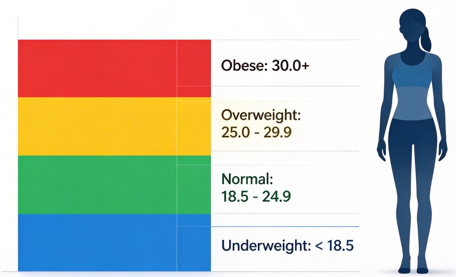 Chart of BMI categories for women: underweight below 18.5, normal 18.5 to 24.9, overweight 25.0 to 29.9, obese 30.0 and above