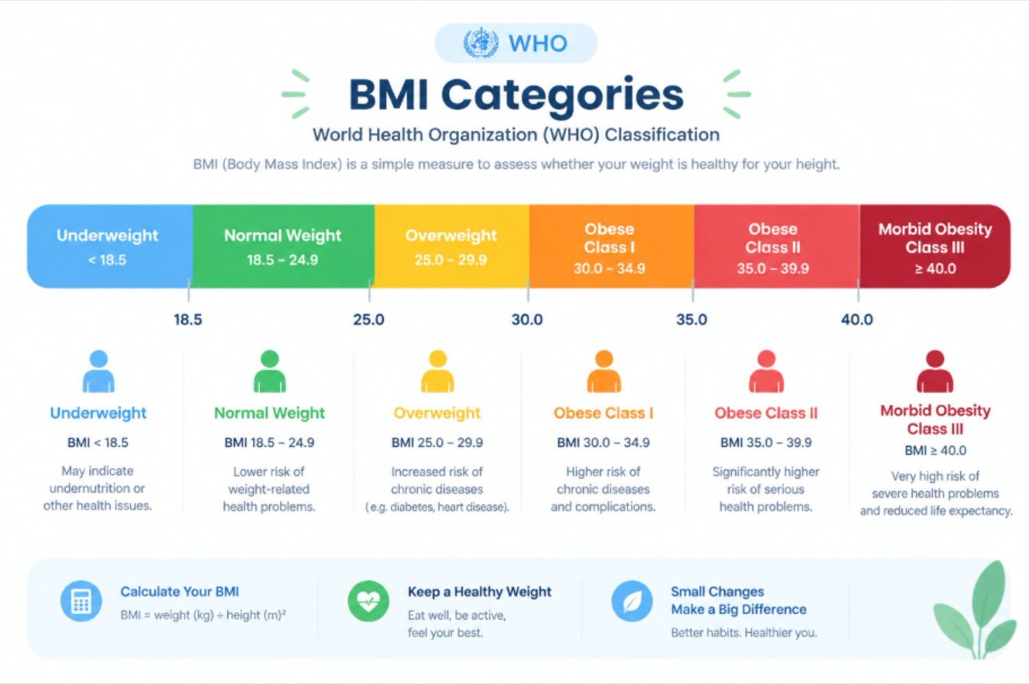WHO BMI classification chart: underweight below 18.5, normal 18.5 to 24.9, overweight 25.0 to 29.9, obesity classes I to III from 30.0 upward